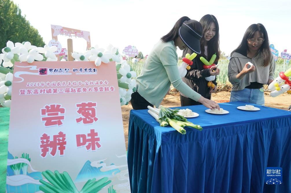 开户送礼金mg游戏